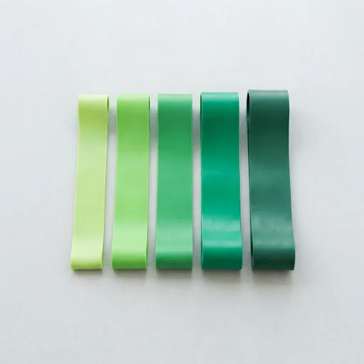 Resistance loop bands